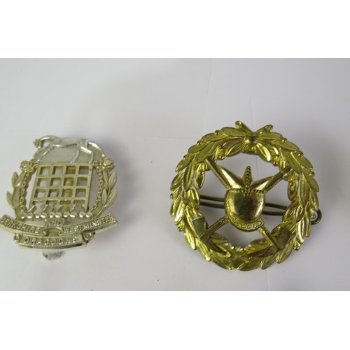 195 - Twelve military cap and collar badges