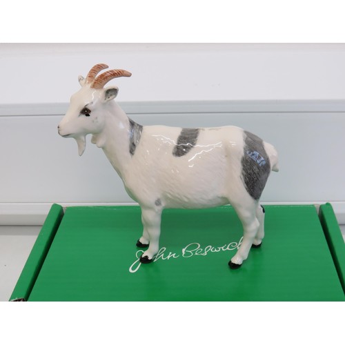 148 - Beswick Boxed Rare Breed's Nigerian Pot Bellied Goat