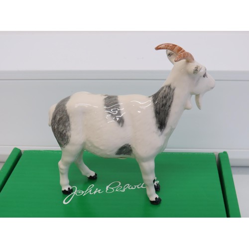 148 - Beswick Boxed Rare Breed's Nigerian Pot Bellied Goat