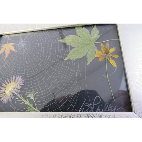 121 - Framed original spiders webb signed 1924