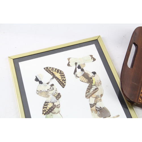 583 - Vintage Collectable Butterfly Wing Framed Artwork & Tray