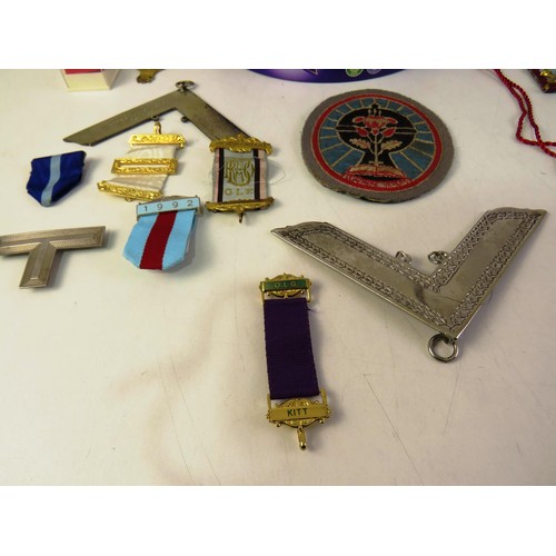 28 - Collection of insignia, pins and badges