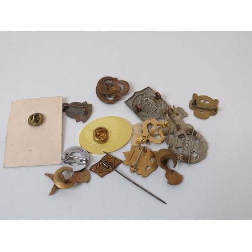 Fifteen assorted pin badges including military