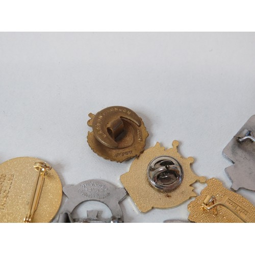 Fifteen assorted pin badges including military