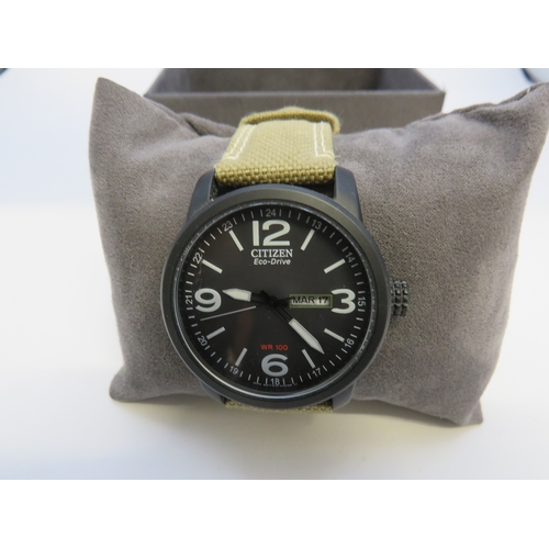 119 - Citizen Eco-Drive day date watch