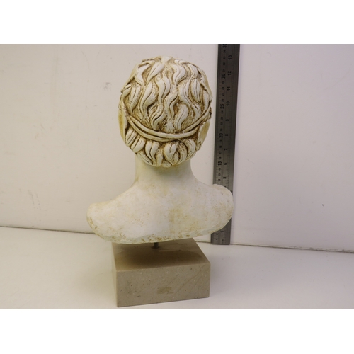 48 - Greek God Dionysus bust sculpture.