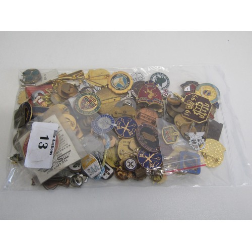 13 - Large collection of pin badges etc
Approx. weight in grams 605