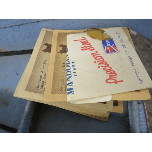 411 - Mandolin with butterlfy detailing in carry case