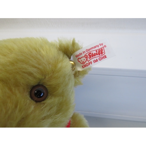 50 - Steiff teddy bear with original tag