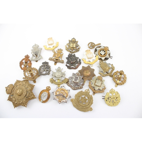 Lot 29        