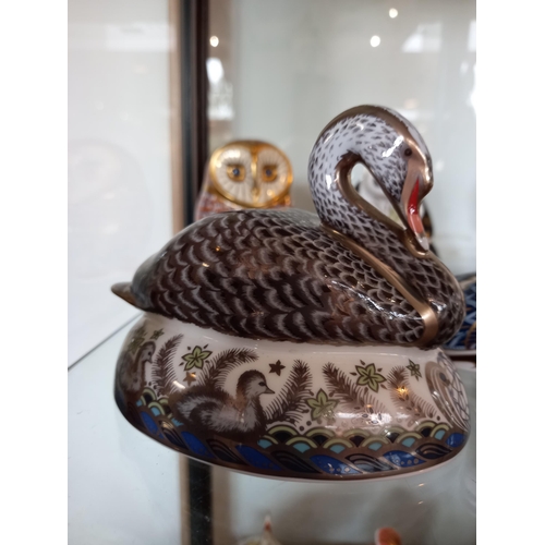 241 - 6x Royal Crown Derby (all with gold seal on base). Platinum Black Swan 2012 121/600. Owl gold seal w... 