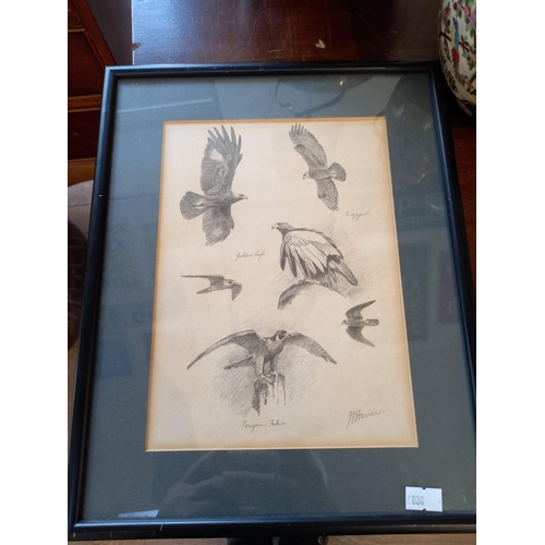 18 - 3 x framed John Cyril Harrison pencil Drawings of Birds 1898 - 1985 Norfolk Artist