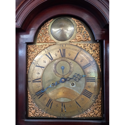 35 - Dark Wood Grandfather Clock by Thomas Chamberlain Hugglescoat