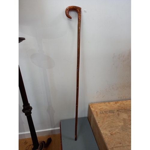 71 - Shepherds Crook