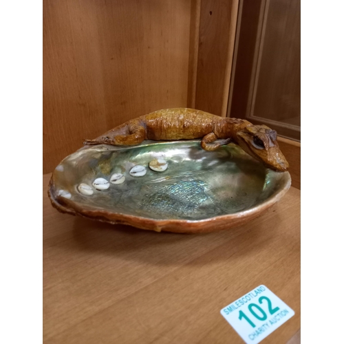 102 - Large mother of pearl clam shell with taxidermy young alligator.