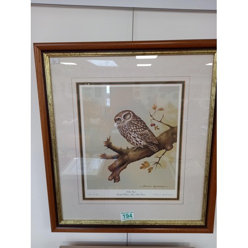 194 - Limited edition 32/1250 print of 'Little Owl' by David Andrews, signed & framed