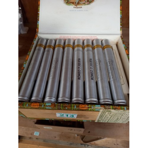 213 - Selection of cigars