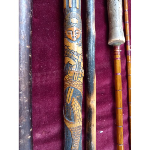 325 - Fishing Rod Sharpes split cane, and walking sticks, some ornate