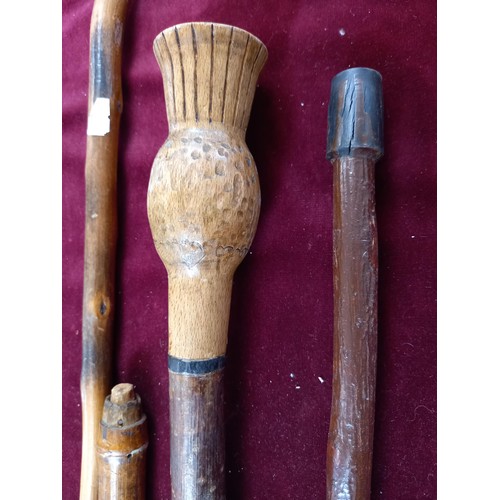 325 - Fishing Rod Sharpes split cane, and walking sticks, some ornate