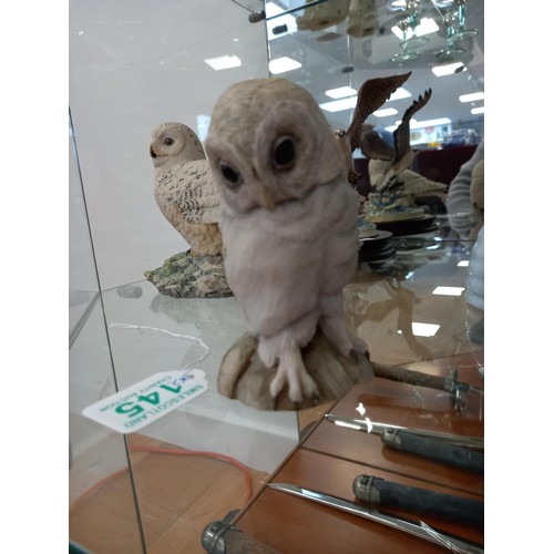 145 - Border Fine Arts owl, signed by Ayres, 1985, and 1 other