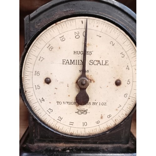 259 - Hughes Family Scales