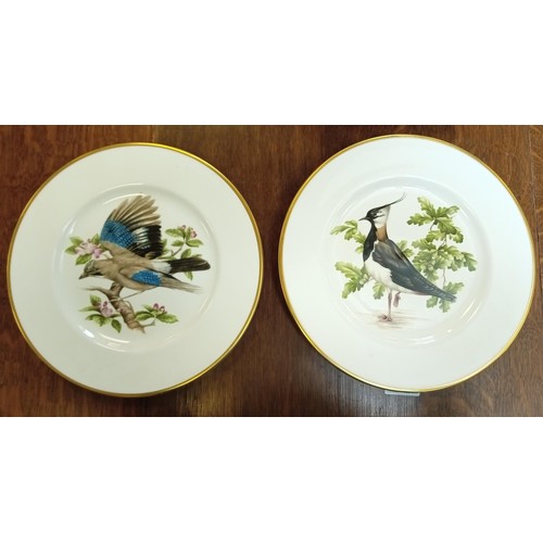 336 - 8 X Colport British birds limited edition plates