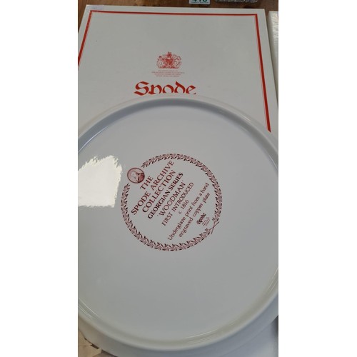 411 - 2 x Spode plates