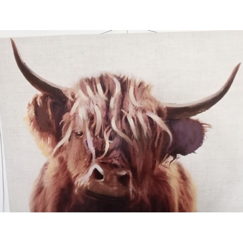 79 - Pair of Large Highland Cow Canvasses 100 x 70cm Each approx