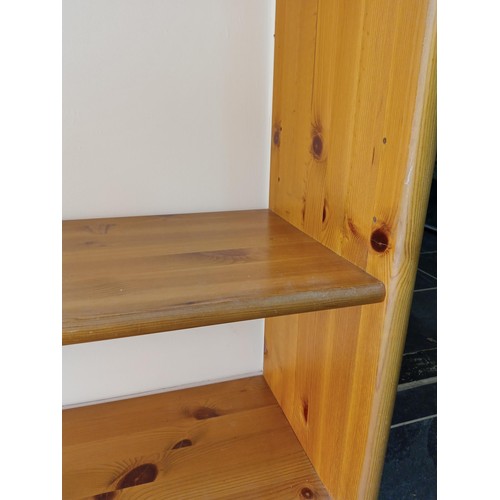 259 - Large Bookcase/ Shelves