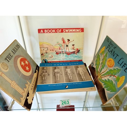 263 - A good selection of vintage Puffin Books