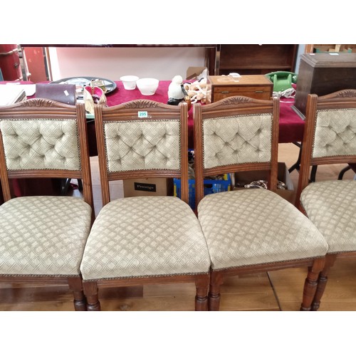 295 - 6 x Vintage Oak Chairs with Chesterfield Style Backs