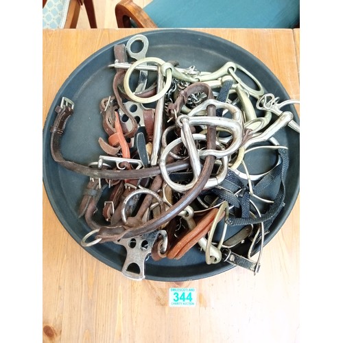 344 - Tray lot of horse bits