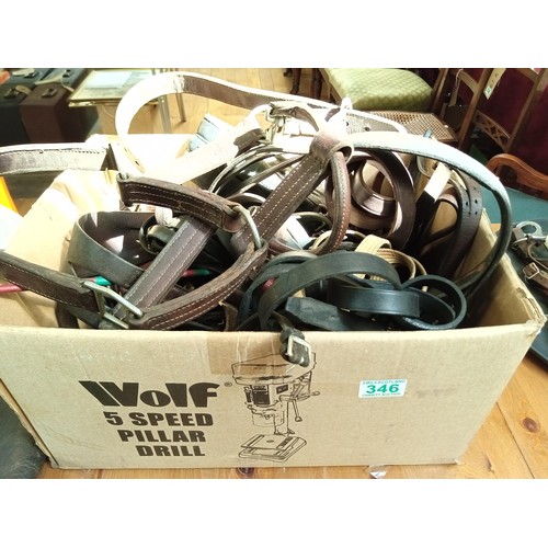 346 - Box lot of reins, nose bands, Girths etc