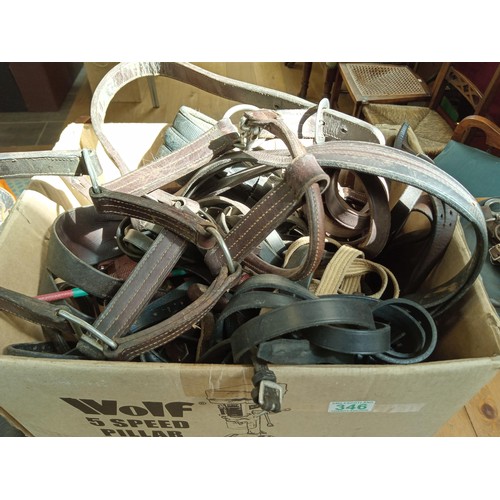 346 - Box lot of reins, nose bands, Girths etc