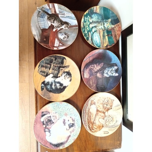 179 - Selection of collectable cat plates