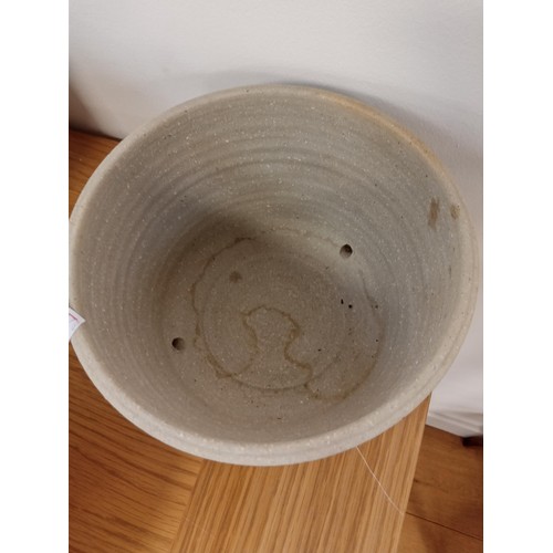 31 - 3 x plant pots or bowls