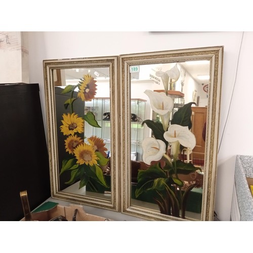 189 - a pair of hand painted vintage mirrors