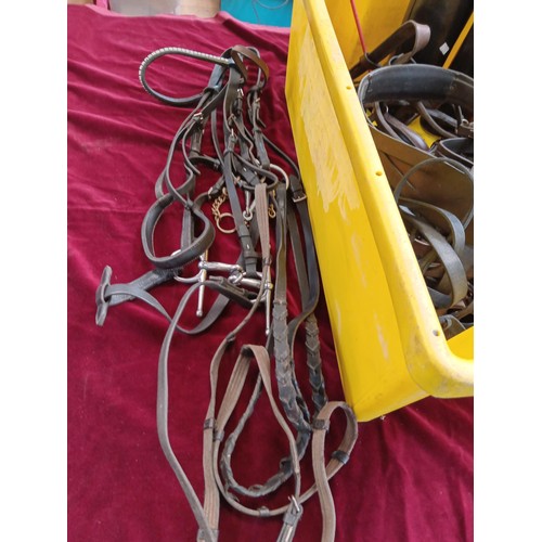 215 - 2 x full bridles plus box of nosebands, girths etc