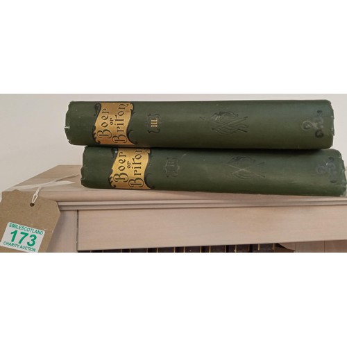 173 - Volumes 1, 2 and 3 in 2 books, Boer or Britain