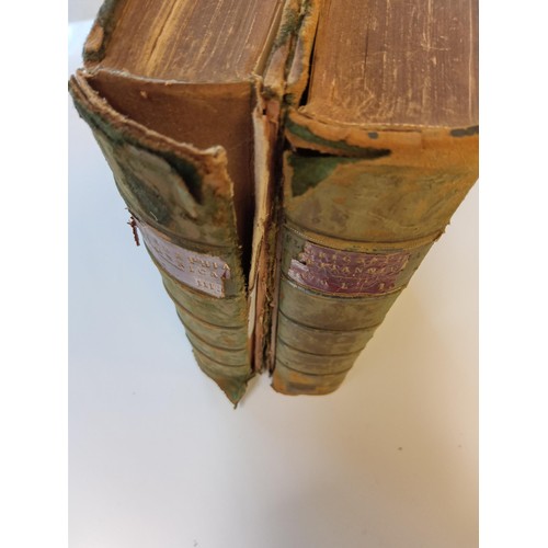 58 - 'Florigraphia Britannica' or 'Flowering Plants & Ferns of Britain by Richard Deakin.  2 volumes 1841... 