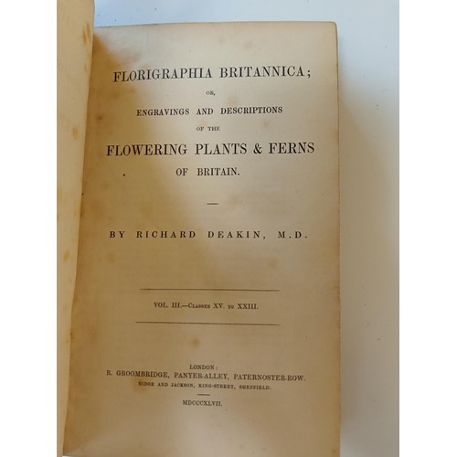 58 - 'Florigraphia Britannica' or 'Flowering Plants & Ferns of Britain by Richard Deakin.  2 volumes 1841... 
