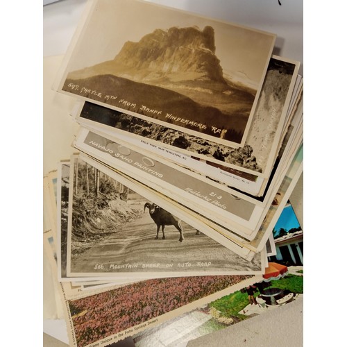 179 - A large selection of vintage postcards from a deceased estate  from all around the world