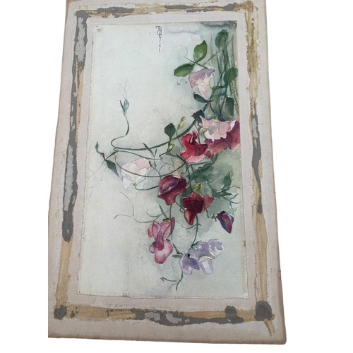 140 - 2x unframed water-colours by Nancy Lauder RSA & RSW.  Flower water-colour 39x22cm approx. & Cottage ... 