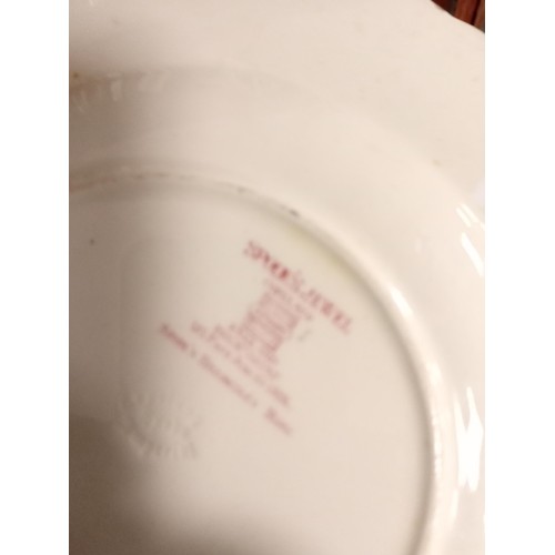 176 - Spode Jewel plates plus his and hers bed pans