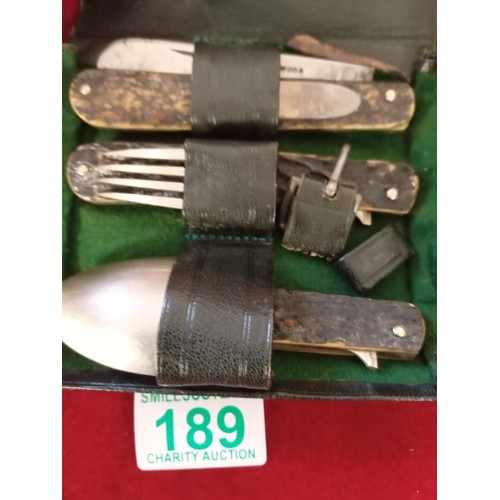 189 - Vintage horn travelling cutlery set with knife, spoon and fork in original case