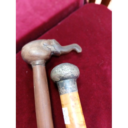 213 - 2x Vintage walking sticks. Hardwood elephant top stick & Sergeant Major style swagger stick with pos... 