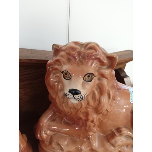 57 - A pair of antique lions with glass eyes