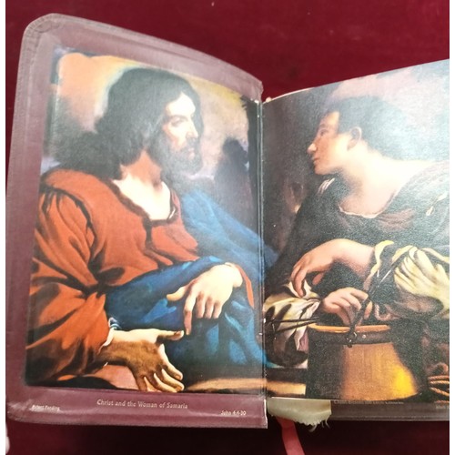 175 - Holy Bible family edition Catholic bible