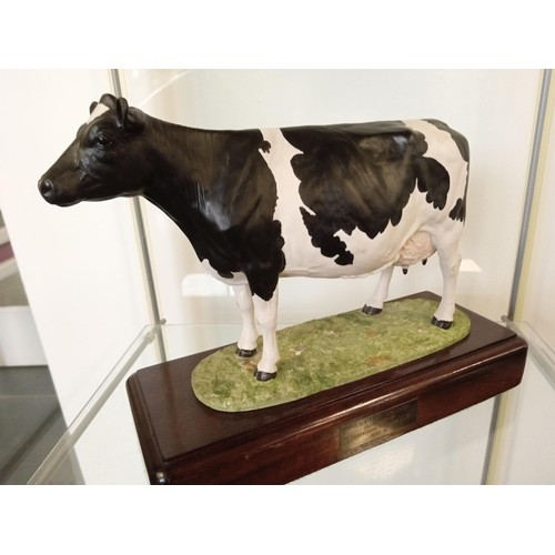 262 - Limited Edition Fresian Cow Harper Shebeg signed