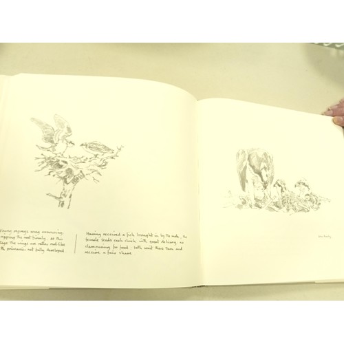 John Busby Nature Drawings Limited Edition book of which this is 625/ ...